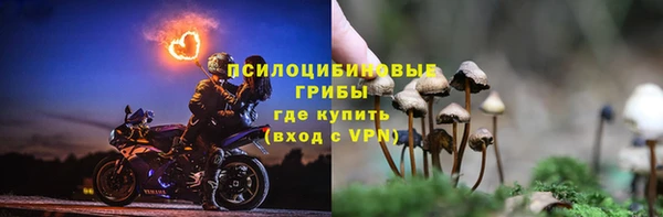 мет Тобольск