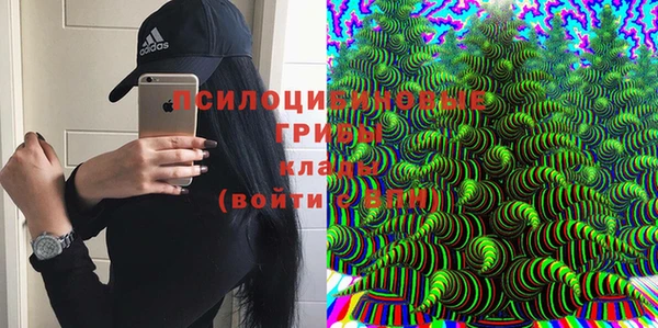 мет Тобольск