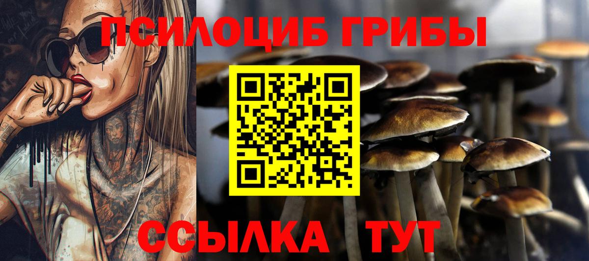 Галлюциногенные грибы мицелий  Вход с VPN  Кинель 