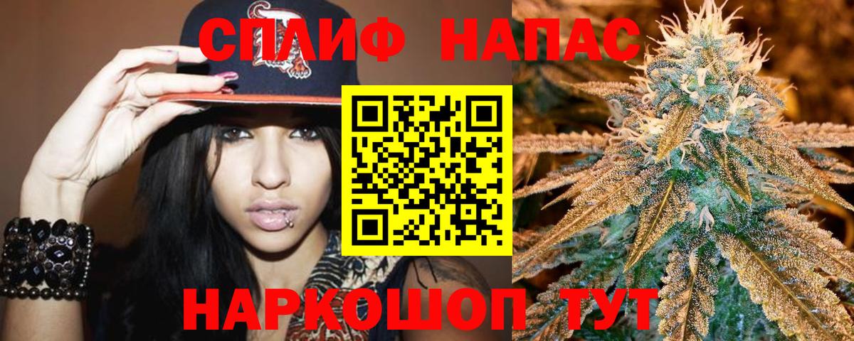 Конопля сатива  МАРИХУАНА планчик  Бошки марихуана AK-47  Кинель  Вход с VPN 
